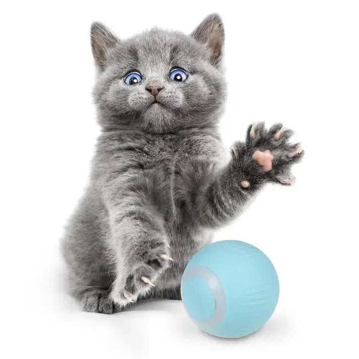 😸PELOTA INTELIGENTE-DIVERSIÓN PARA GATOS.🤪